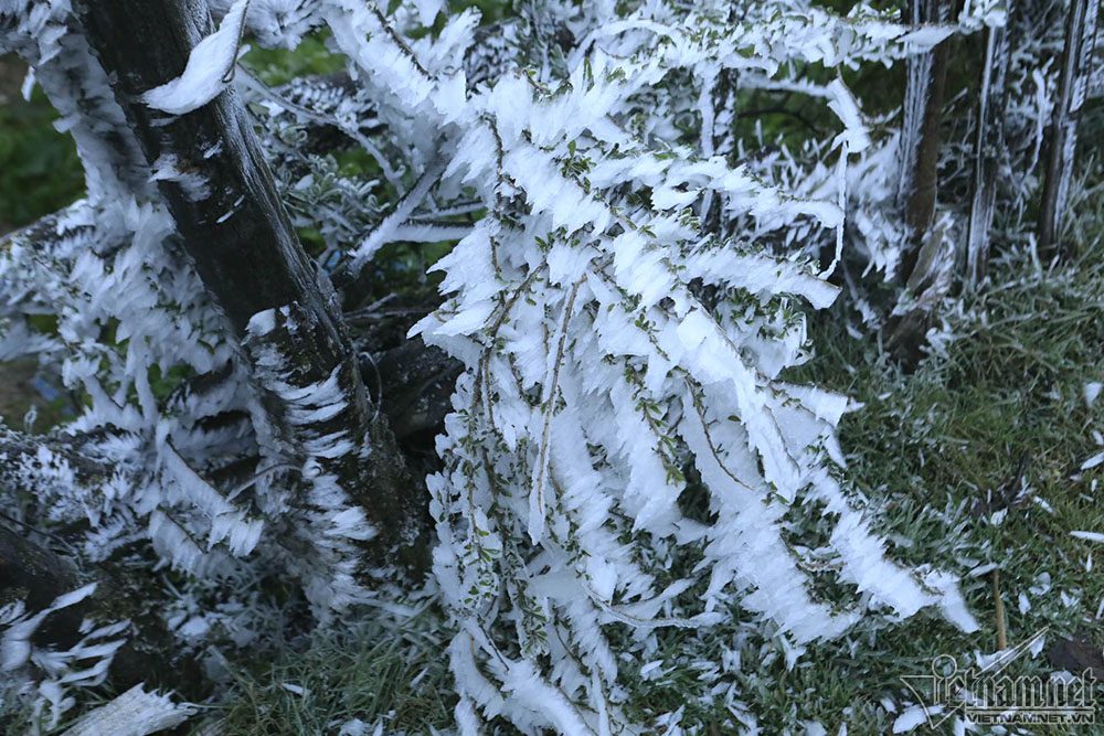 Băng tuyết phủ trắng đỉnh đèo Ô Quý Hồ